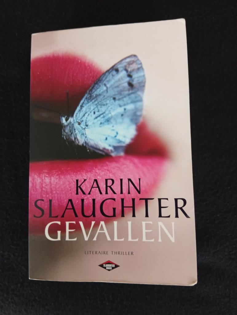 Karin Slaughter Gevallen, Boeken, Thrillers, Gelezen, Amerika, Ophalen of Verzenden