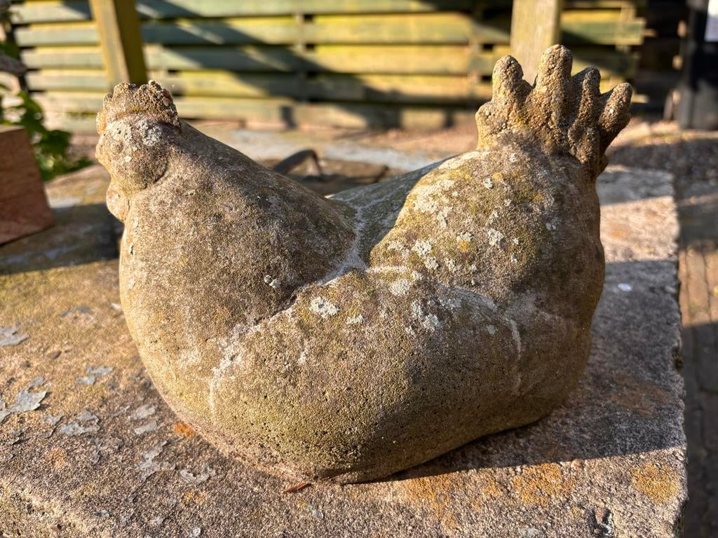 Decoratief Beeldje Kip van Steen - Tuin of Interieur, Meerdere dieren, Eend