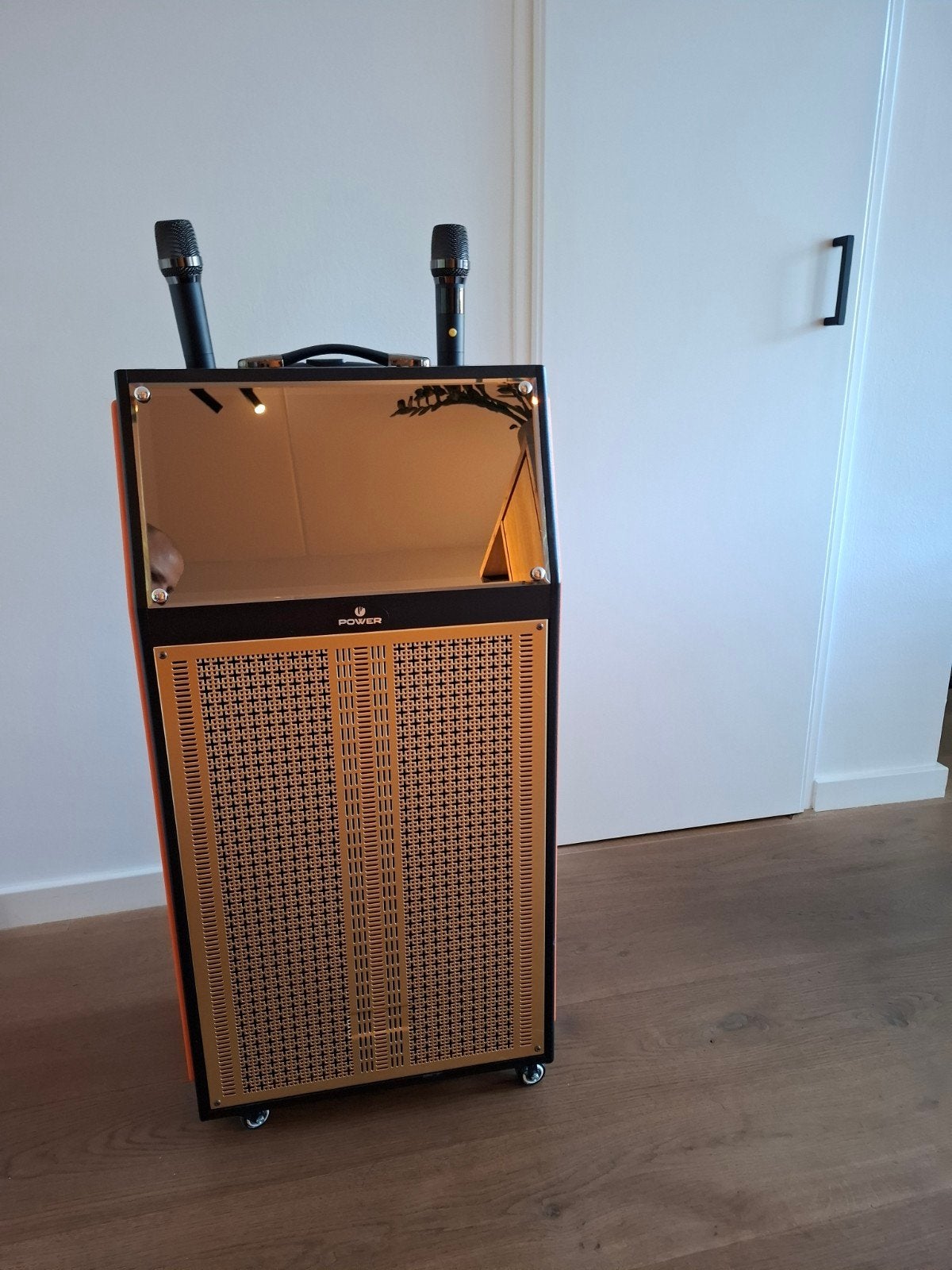 Karaoke Set met Microfoons en Lichteffecten, Audio, Tv en Foto, Karaoke-apparatuur, Ophalen