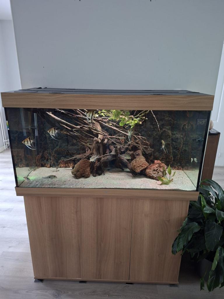 JUWEL rio 350, Dieren en Toebehoren, Vissen | Aquaria en Toebehoren, Ophalen, Leeg aquarium