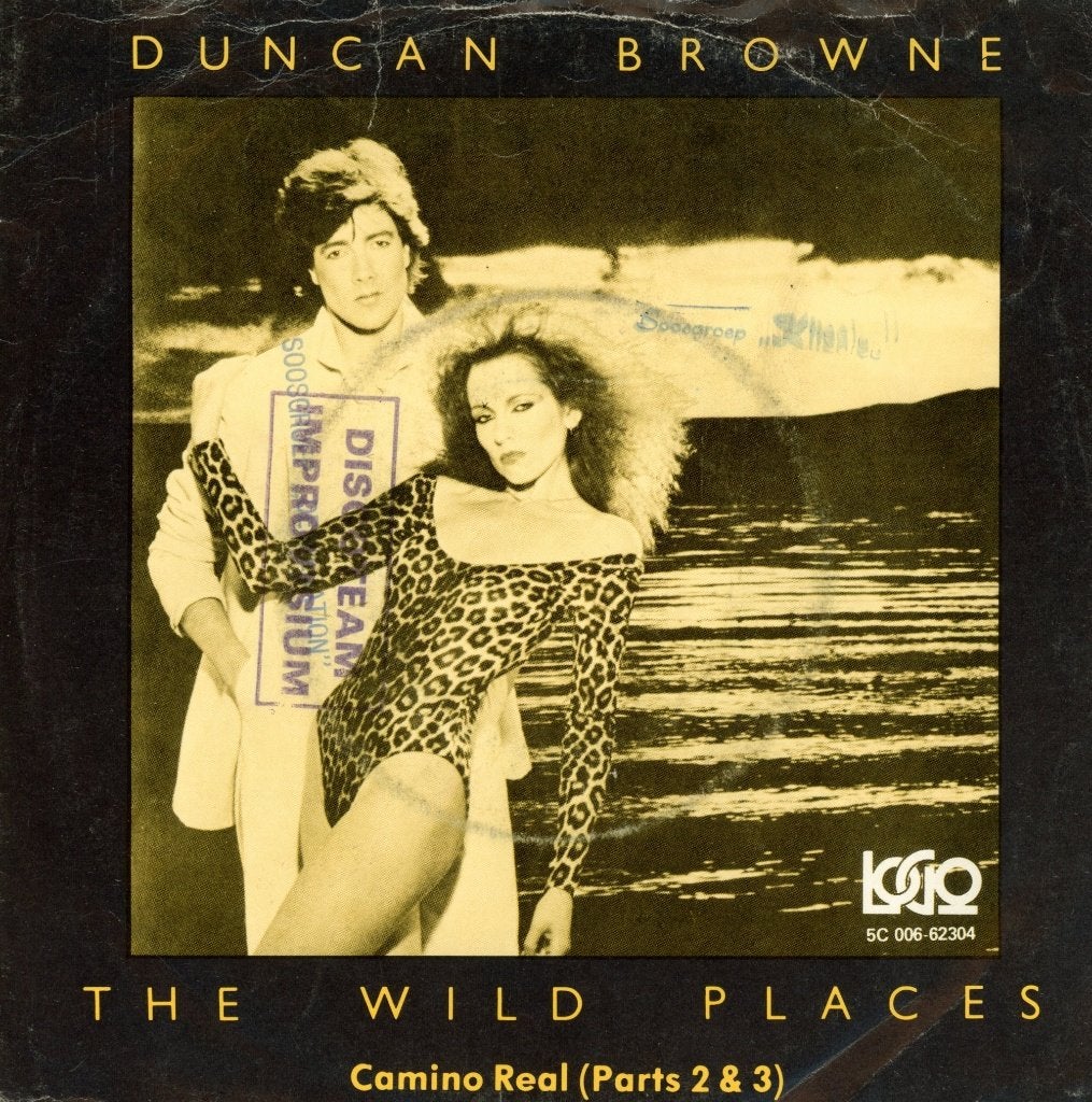 S Duncan Browne - The Wild Places, Cd's en Dvd's, Vinyl Singles, Inclusief binnenhoes, Verzenden, Gebruikt, Pop