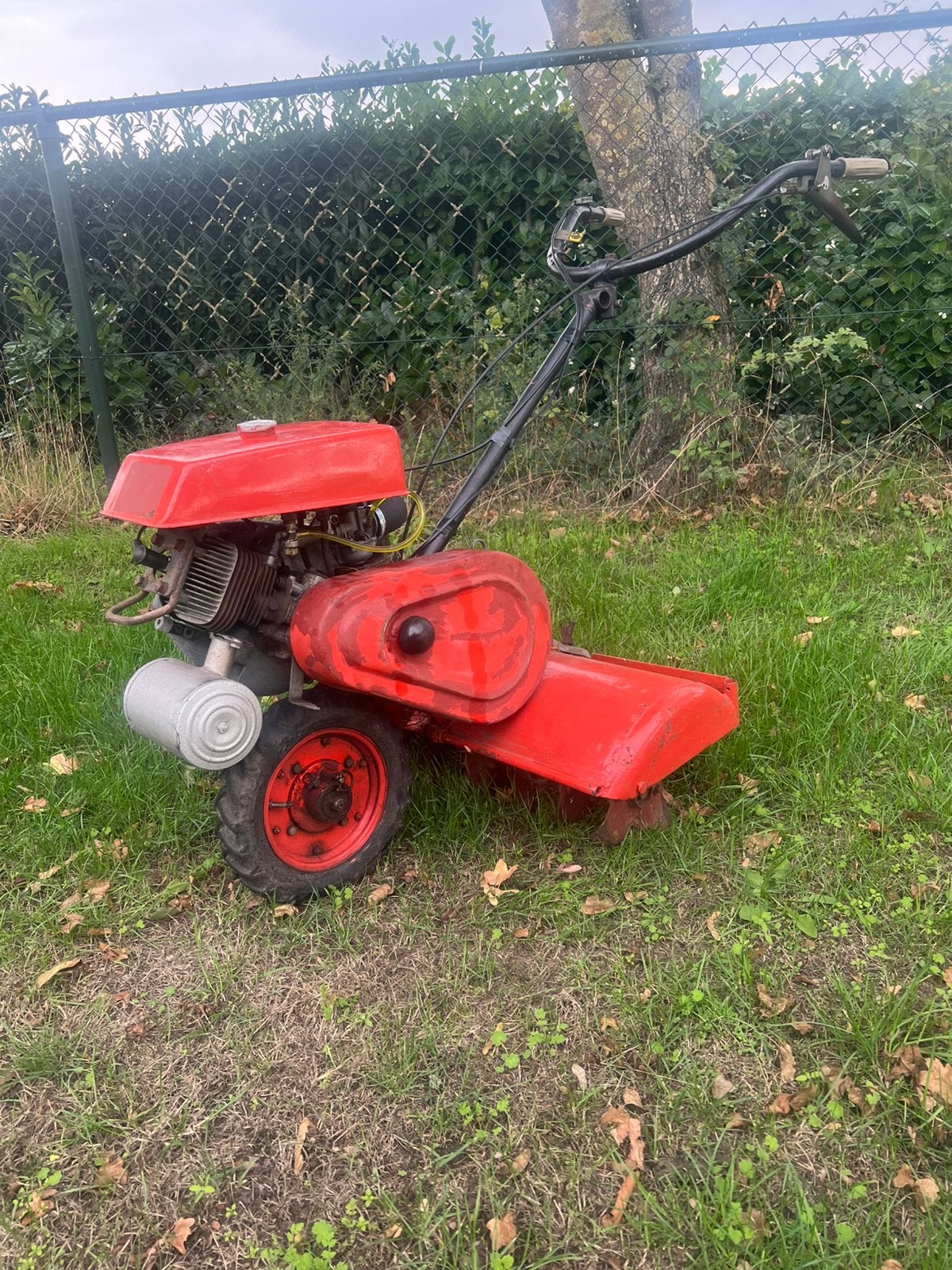 Oldtimer Hako Boy tuinfrees met ILO 2-takt motor. IGS., Ophalen, Gebruikt, Info@hako.de, Overige soorten