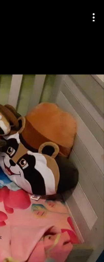 GEZOCHT dit randy kussen vanuit slagharen., Ophalen of Verzenden, Overige typen