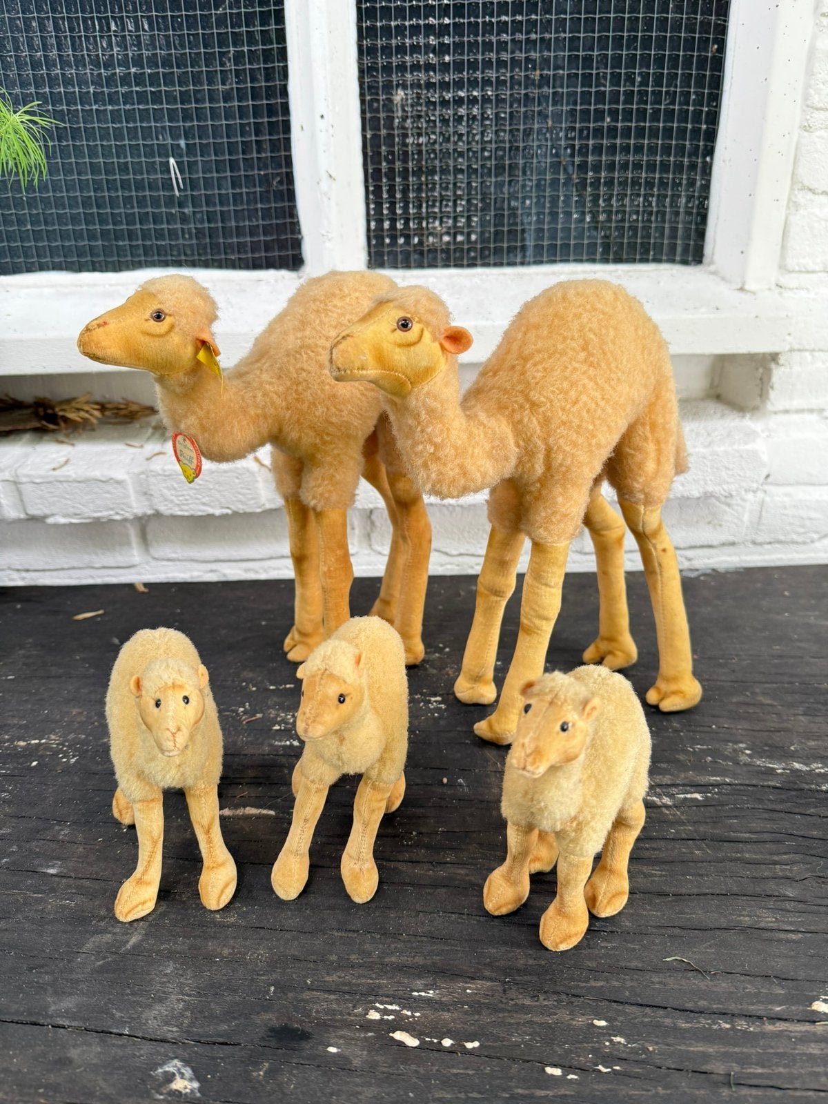 Prachtige complete originele Steiff kamelen familie, Ophalen of Verzenden, Zo goed als nieuw, Wild dier, Beeldje of Figuurtje