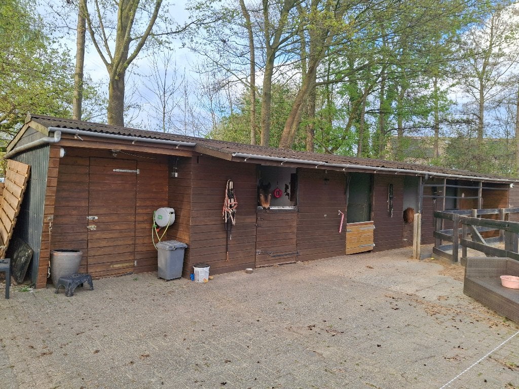stal met weidegang, Stalling, 1 paard of pony