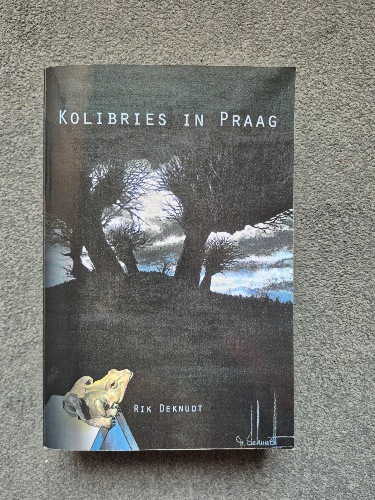 Rik Deknudt - Kolibries in Praag, Ophalen of Verzenden, Zo goed als nieuw, Rik Deknudt