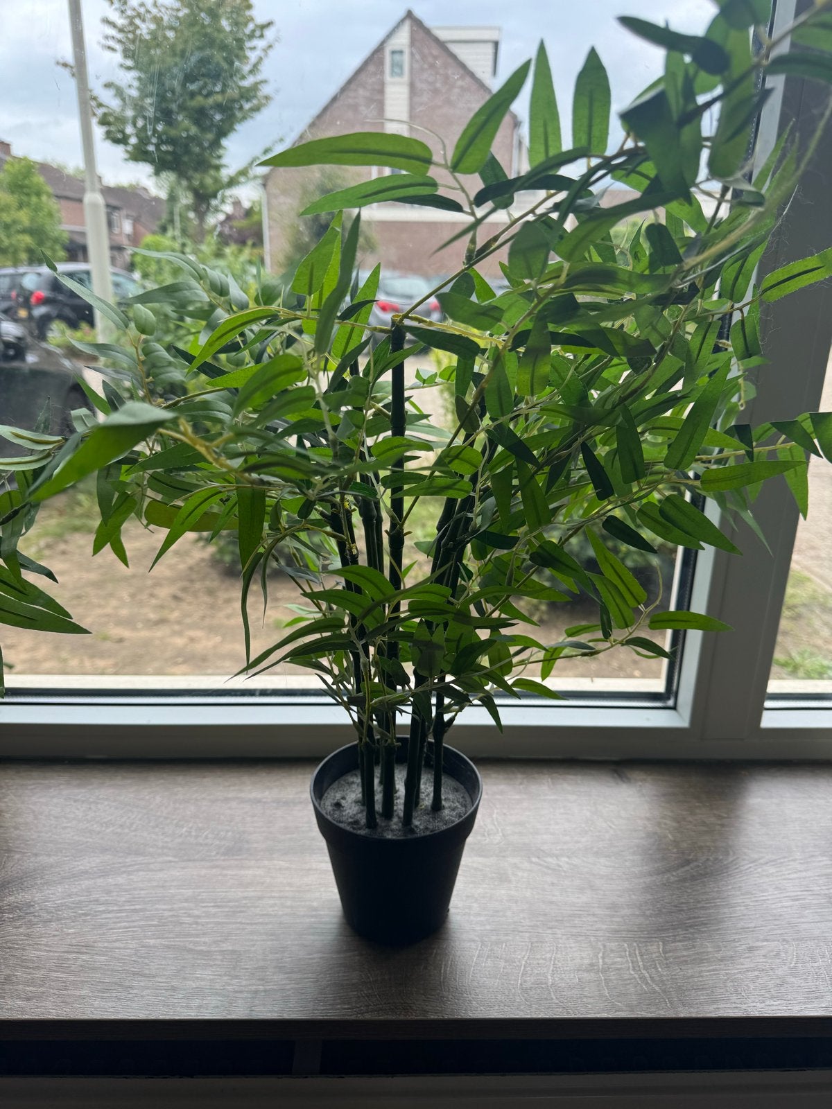 Kunstplanten, Huis en Inrichting, Woonaccessoires | Kunstplanten en Kunstbloemen, Ophalen, Binnen, Kunstplant, Zo goed als nieuw