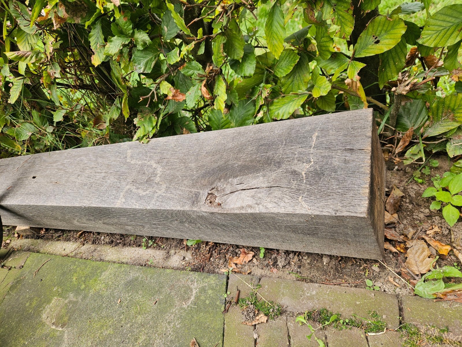 Eiken paal. 15x15x240 cm, Ophalen, Hout, Biels, 50 cm of meer