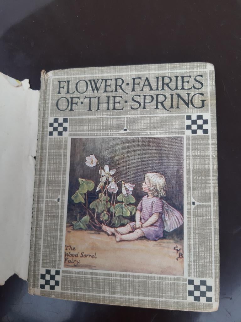 Flower Fairies of the Spring Tapa dura , Boeken, Ophalen, Zo goed als nieuw, Europa overig