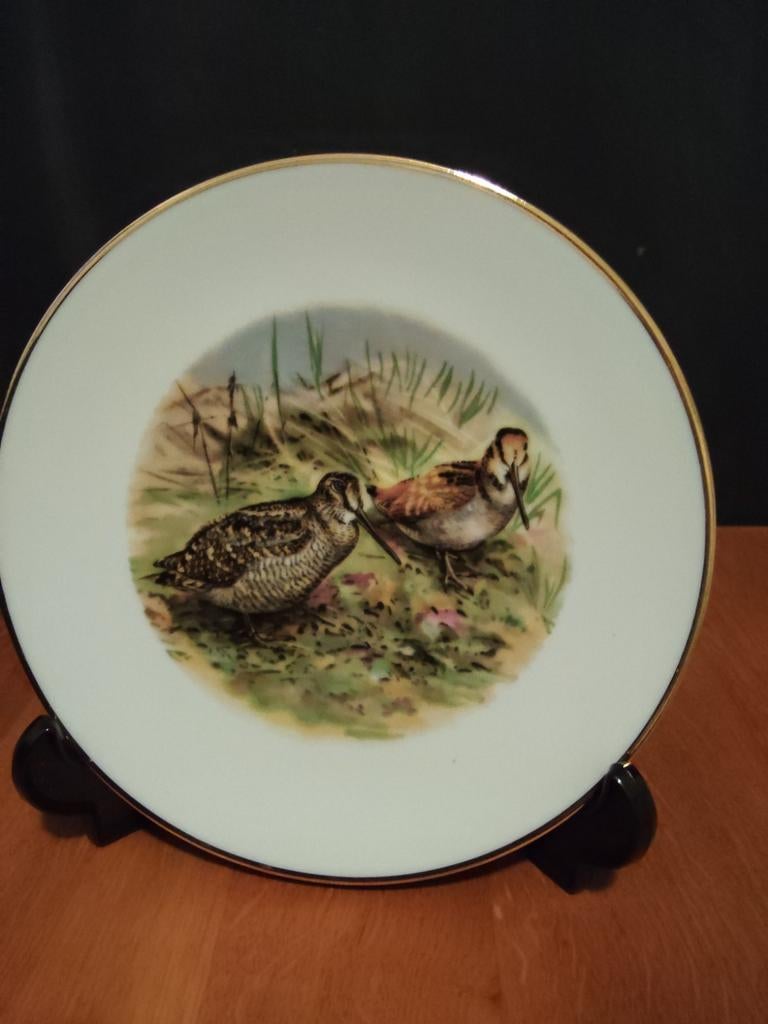 Decoratieve wandbord met vogels - Bareuther Waldsassen, Ophalen