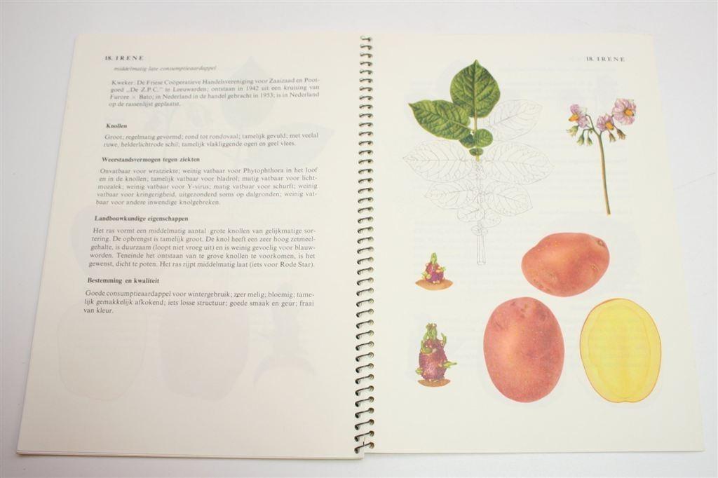 Kleine Aardappelatlas — 24 Rassen [Niet in De Handel], Ophalen of Verzenden, Gelezen