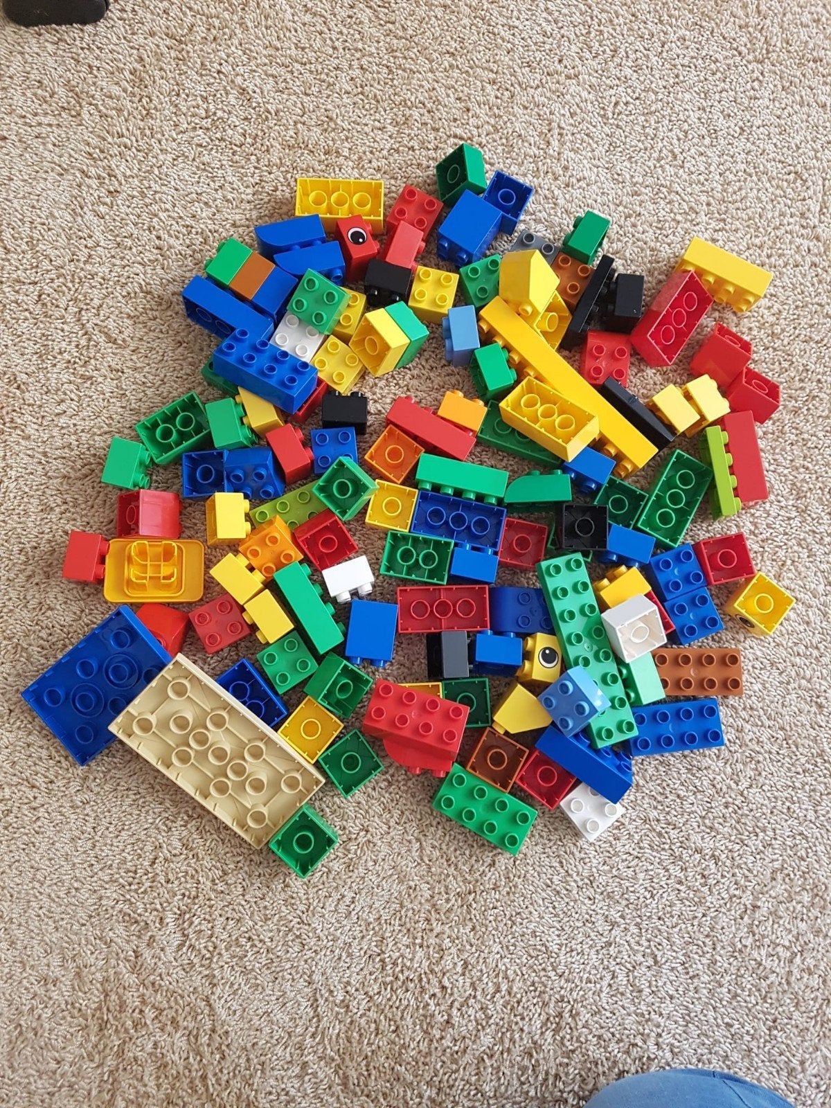 Duplo met trein, dieren en poppetjes, Ophalen of Verzenden