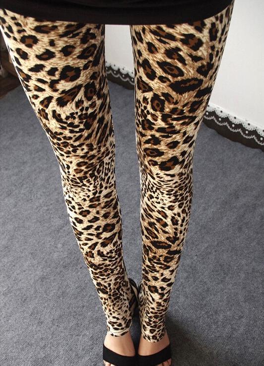 Luipaard legging high waist strakke dames broek panter, Kleding | Dames, Broeken en Pantalons, Maat 38/40 (M), Bruin, Verzenden