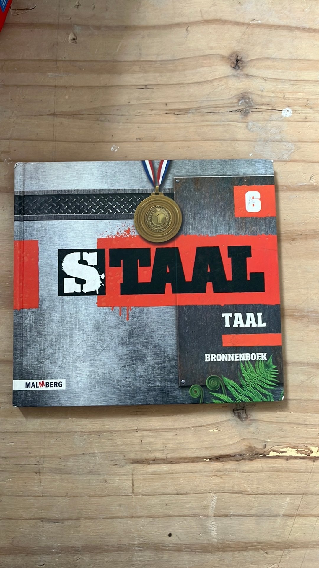 Brouwer - bronnenboek groep 6 Staal taal, Boeken, Brouwer, Ophalen of Verzenden, Zo goed als nieuw, Nederlands