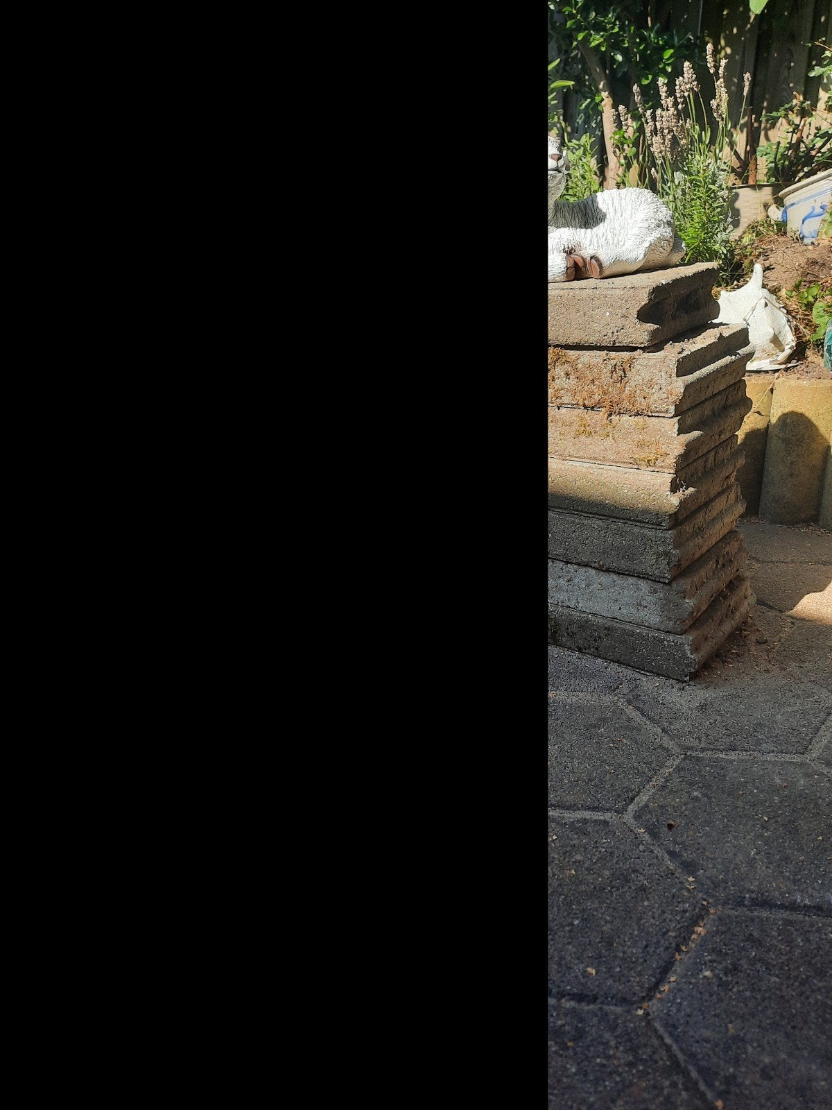 tegelafsluiters van beton, 1 m lang, Tuin en Terras, Tegels en Klinkers, Ophalen, Beton, Overige typen