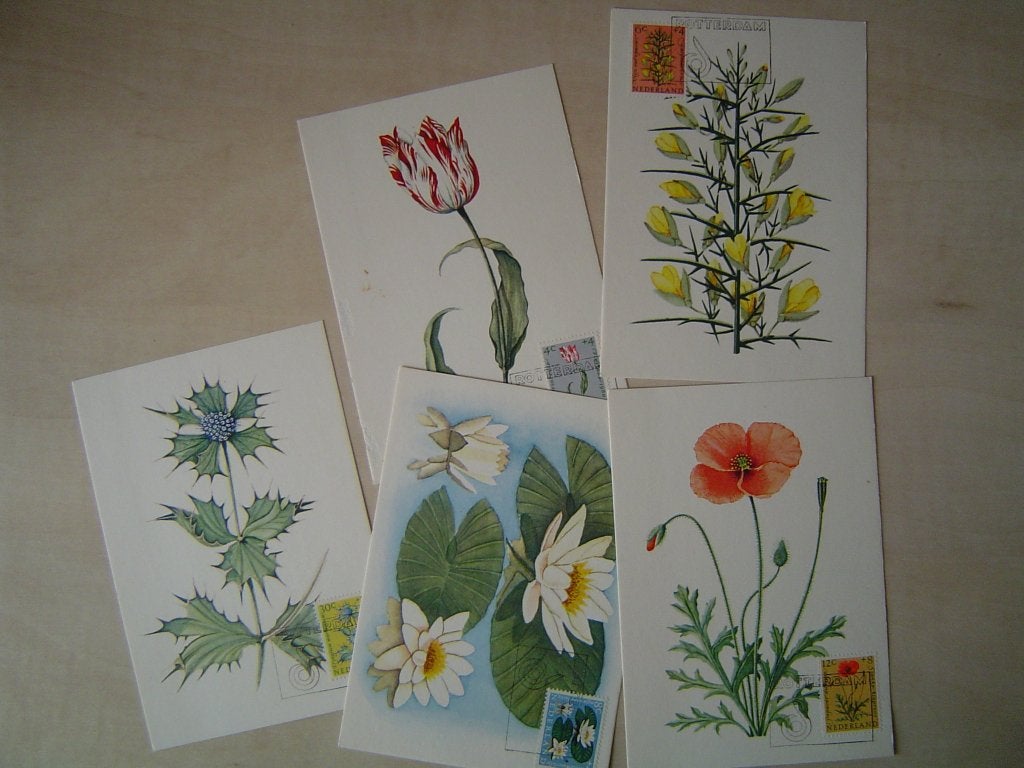 5 x zomerzegels op kaarten Floriade 1960, Verzenden, Na 1940, Gestempeld