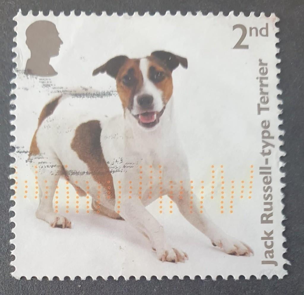 119-26 Engeland / Jack Russell type Terrier, Verzenden, Gestempeld