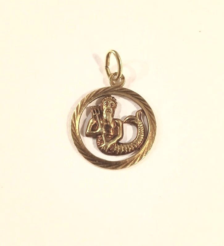 Vintage 14k Gouden Waterman Sterrenbeeld Medaillon Hanger, Ophalen of Verzenden, Goud, Hanger