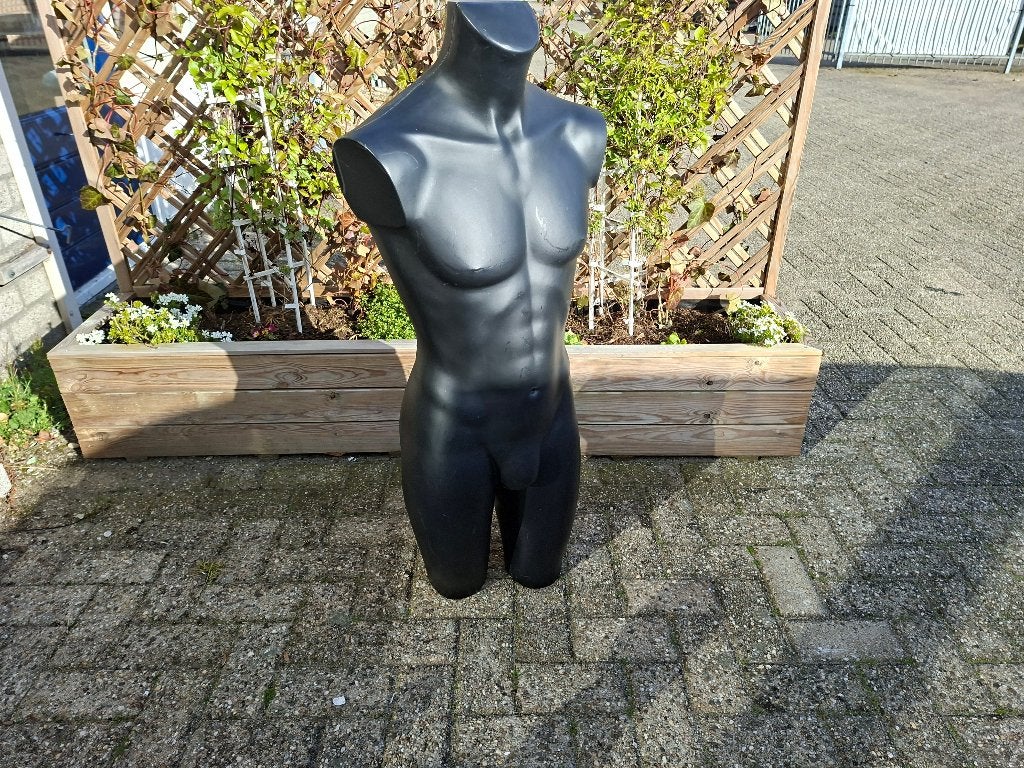 schitterende mannen torso beeld, Ophalen, Zo goed als nieuw, Mens