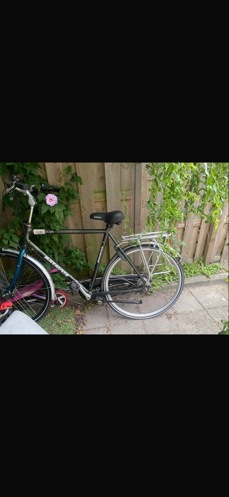 Batavus Damesfiets - Gebruikt, Goede Staat, Ophalen, Terugtraprem, Batavus, 53 tot 56 cm