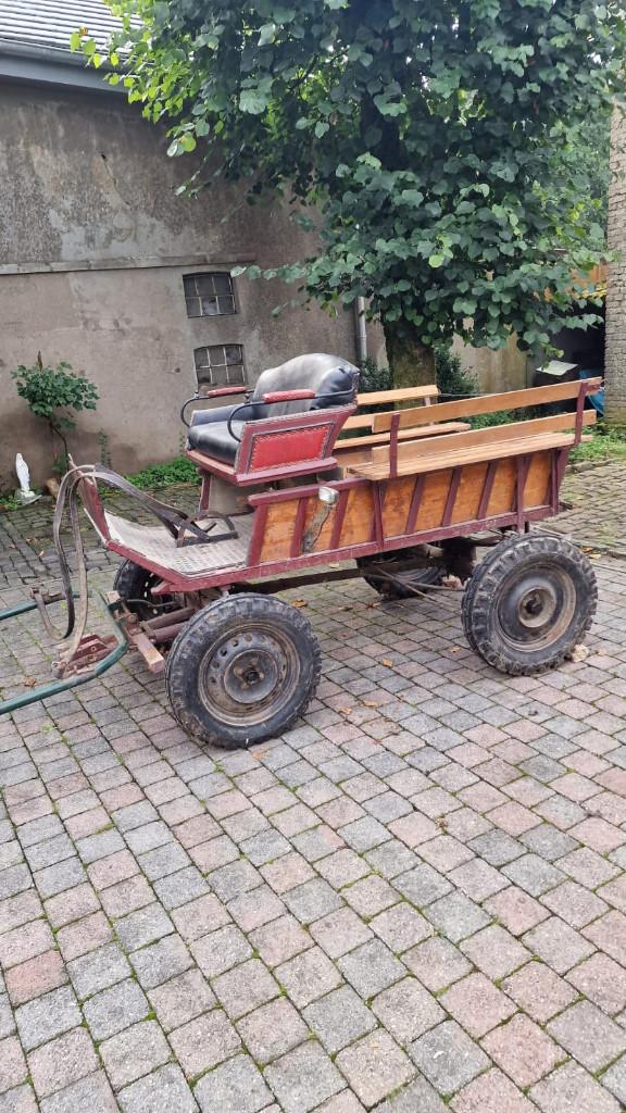Koets te koop, Ophalen, Gebruikt, Recreatie