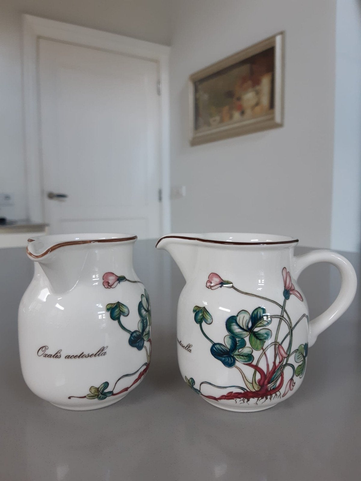 Melkkannetje Roomkannetje Villeroy en Boch Botanica, Overige typen, Ophalen of Verzenden, Zo goed als nieuw, Overige stijlen