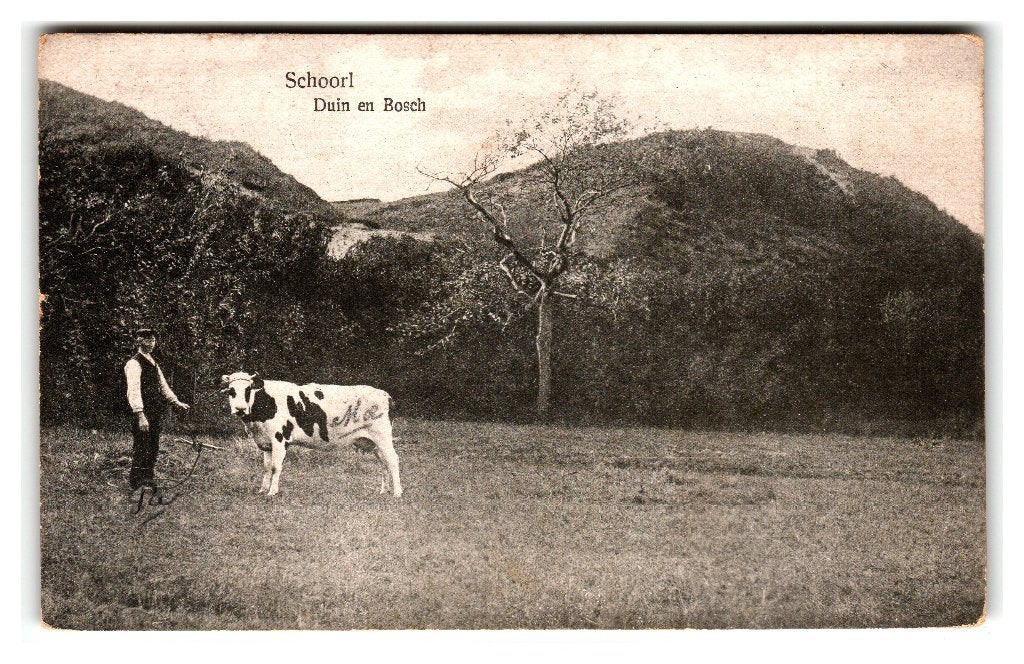 Schoorl, Duin en Bosch, Ophalen of Verzenden, 1920 tot 1940, Gelopen, Noord-Holland