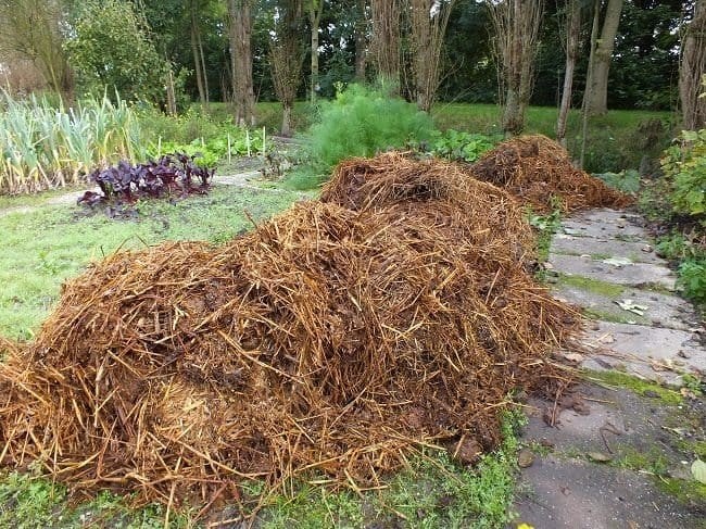 Gratis paardenmest, Ophalen of Verzenden