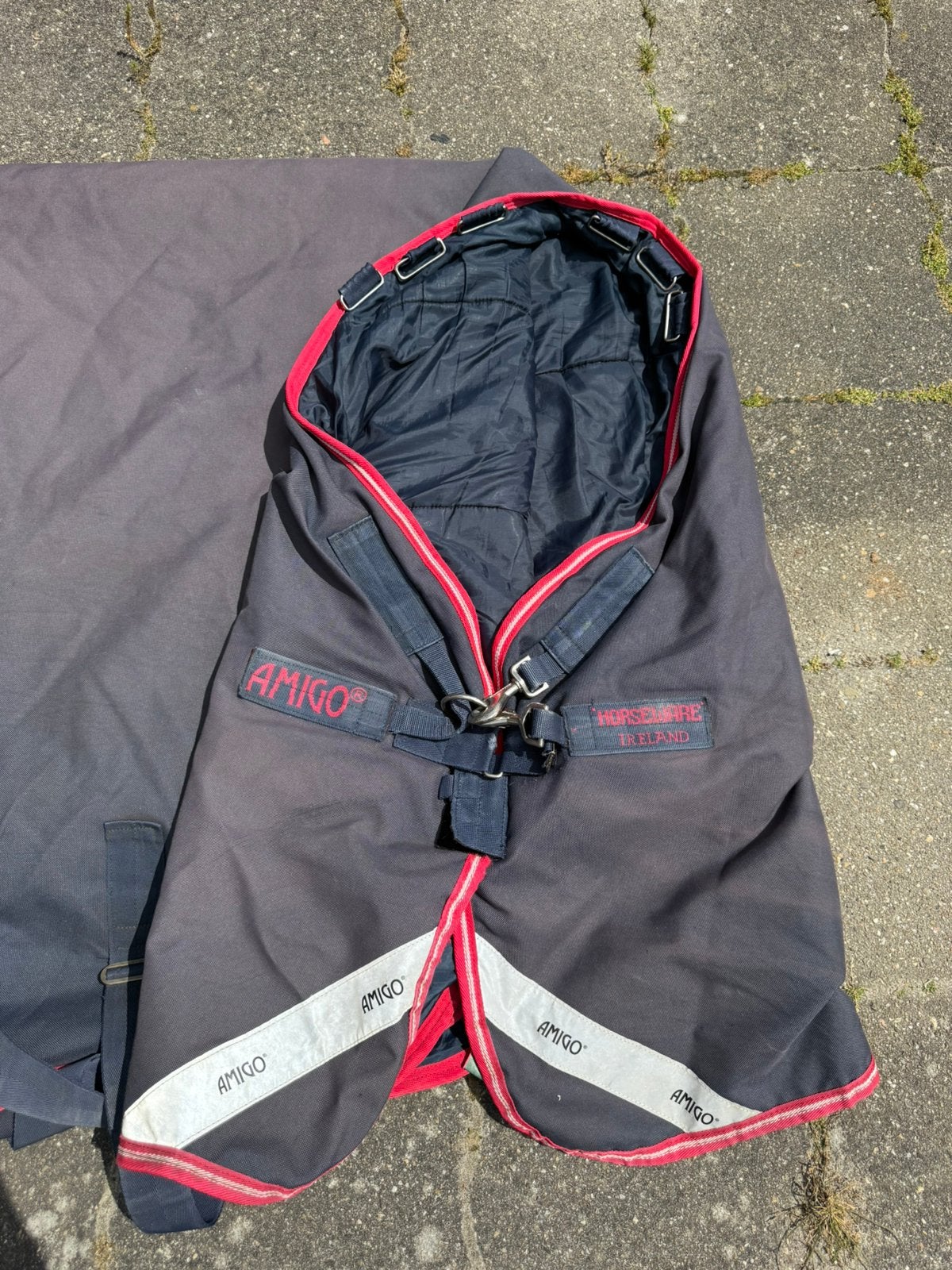 Amigo bravo medium, Dieren en Toebehoren, Ophalen, Overige soorten