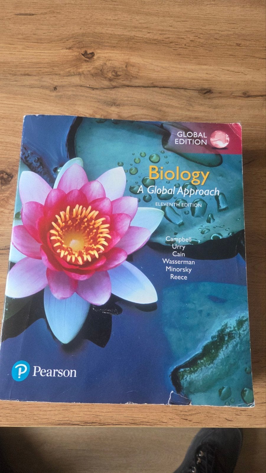 Biology: A Global Approach - Elfde Editie (Pearson), Boeken, Studieboeken en Cursussen, Campbell, Urry, Cain, Wasserman, Minorsky, Reece