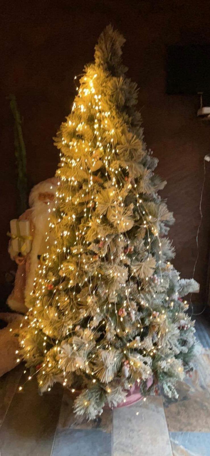Mooie volle kerstboom, Ophalen, Zo goed als nieuw