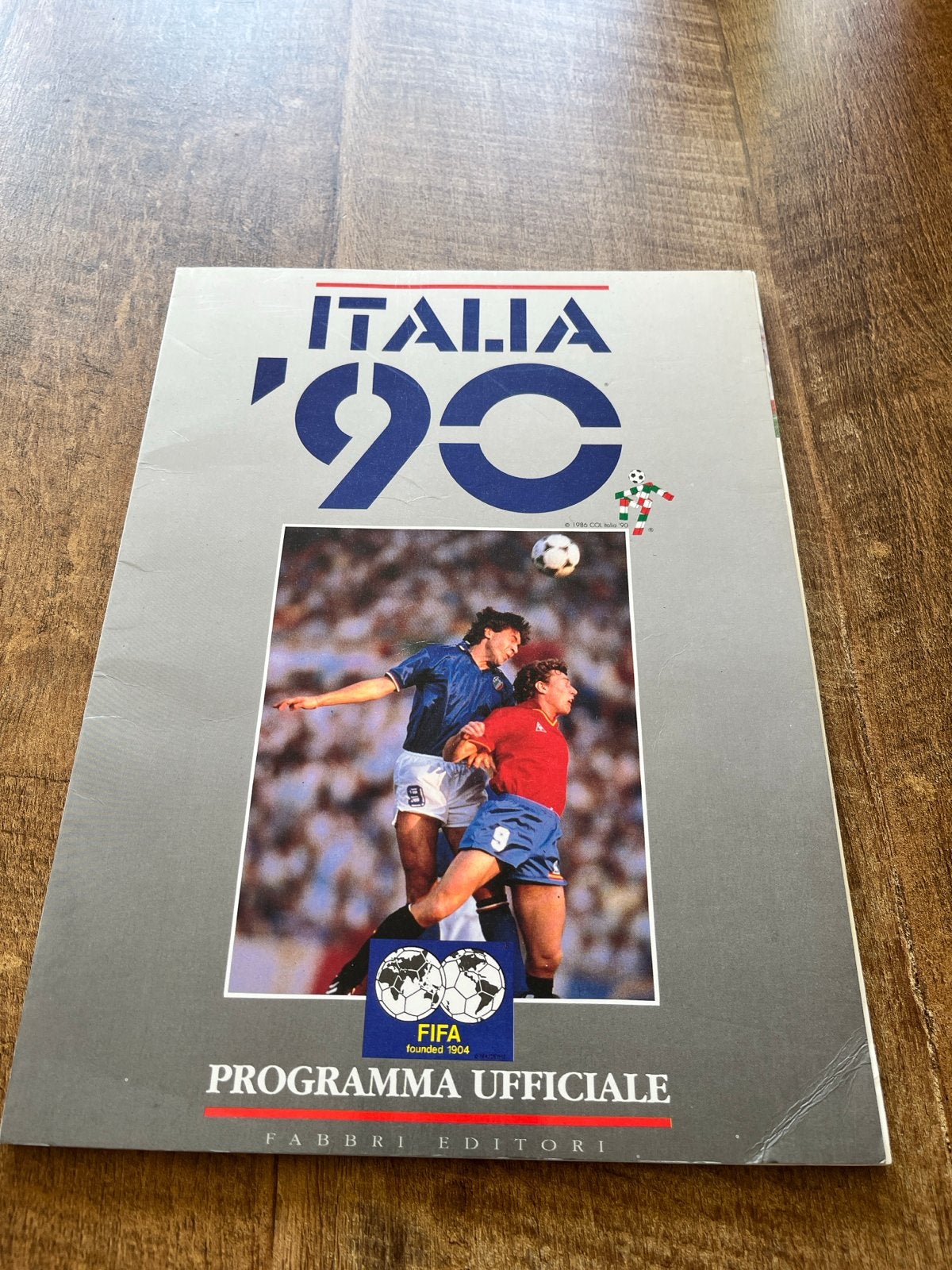 Officieel WK 1990 Italië Voetbal Programma, Boeken, Ophalen of Verzenden, Gelezen, Balsport