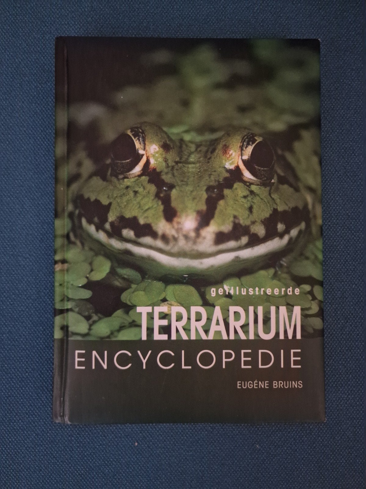 E. Bruins - Terrarium encyclopedie, Ophalen of Verzenden, Zo goed als nieuw, E. Bruins