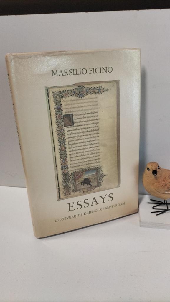 Ficino, Marsilio; Essays, Ophalen of Verzenden, Gelezen, Cultuurfilosofie