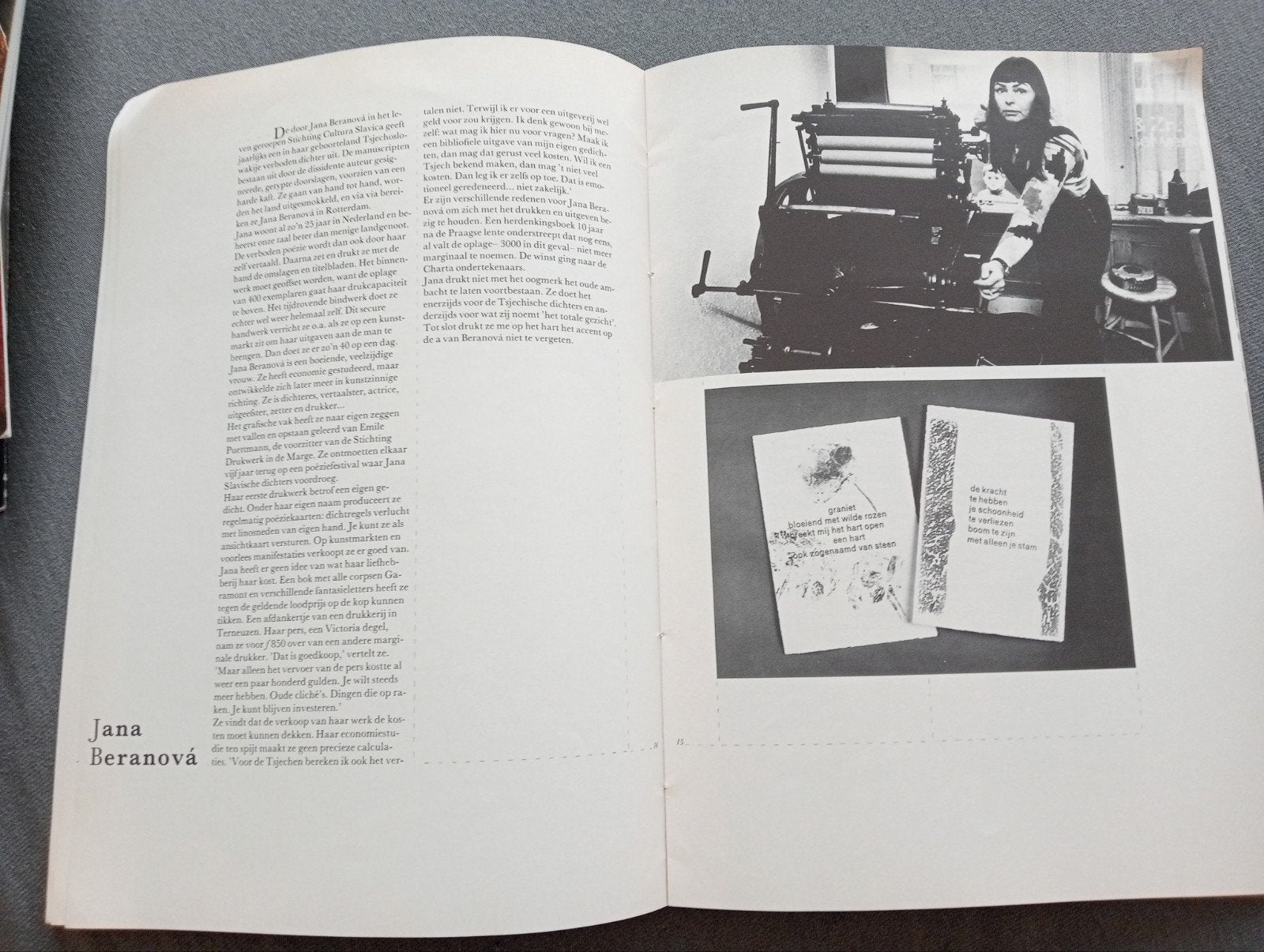 Proost Prikkels 384: Drukkers in de marge (februari 1981), Ophalen of Verzenden, Gelezen