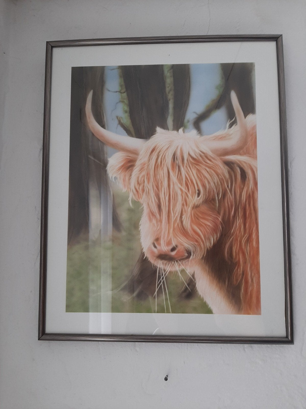 Ingelijste Schotse Hooglander print, Ophalen of Verzenden, Gebruikt, Hout