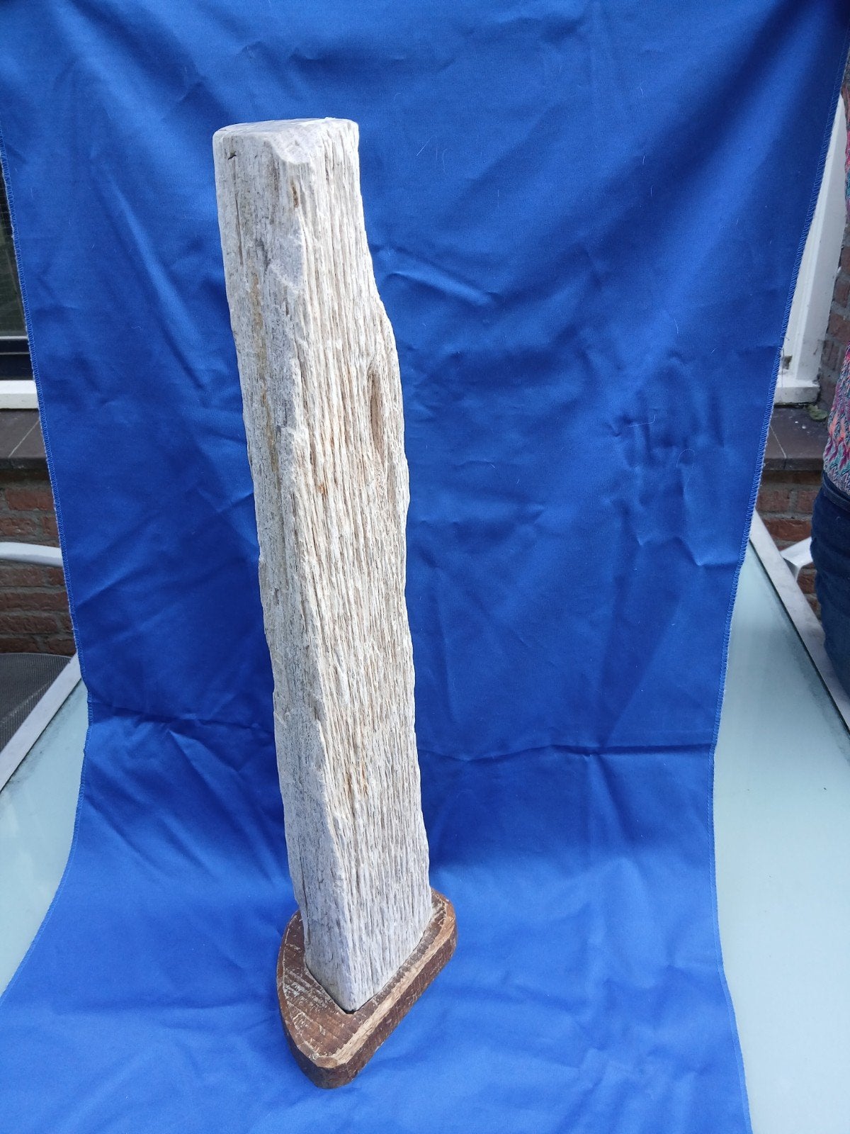 versteend hout., Ophalen of Verzenden, Overige typen