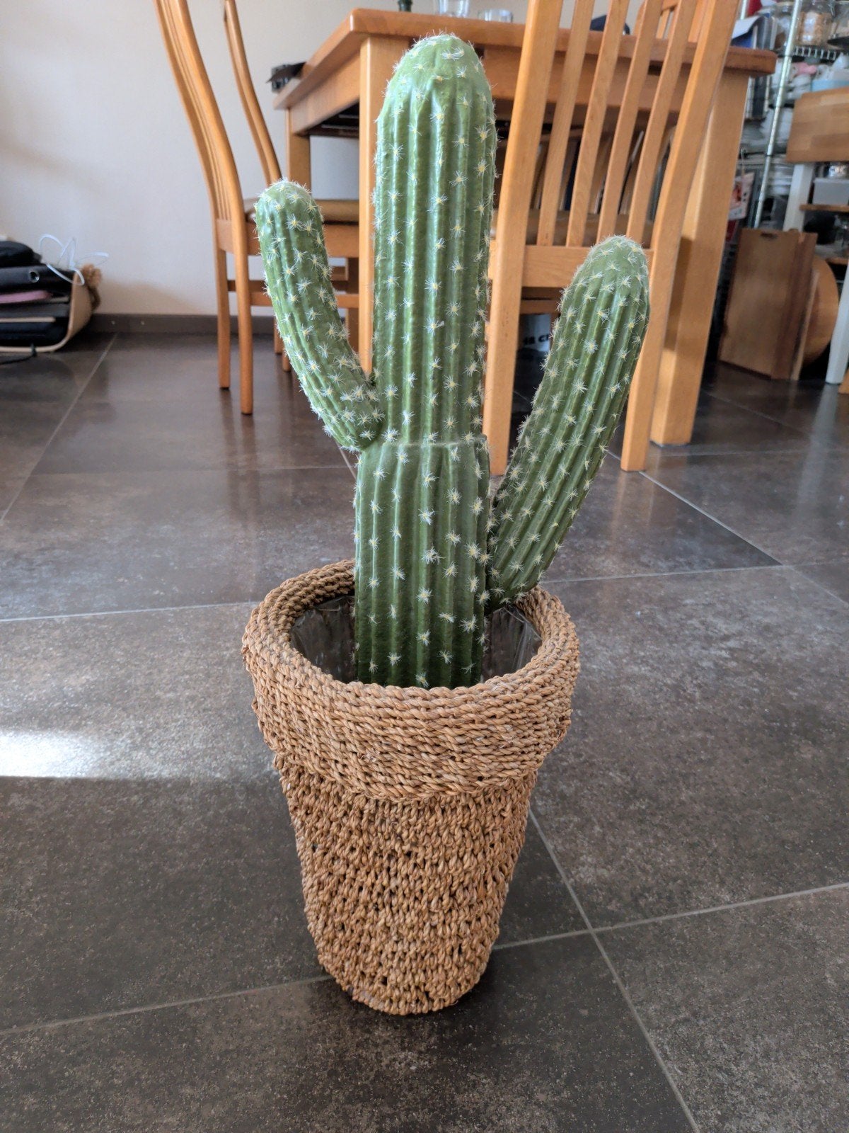 house vitamins kunst cactus 58 cm x 25 cm nieuw, Ophalen of Verzenden, Nieuw
