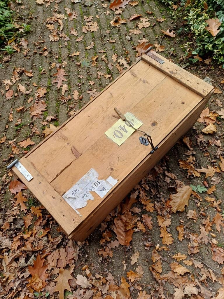 Vintage eierkisten., Ophalen of Verzenden, Minder dan 50 cm, Minder dan 50 cm