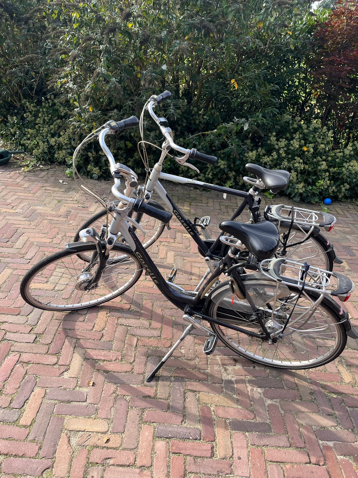 Twee mooie gazelle fietsen, Fietsen en Brommers, Ophalen, Terugtraprem, Gazelle, 53 tot 56 cm