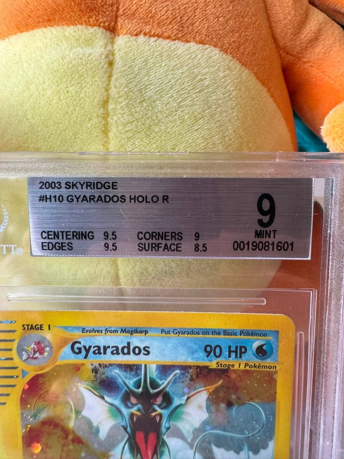 Gyrados Holo R, Verzenden, Nieuw