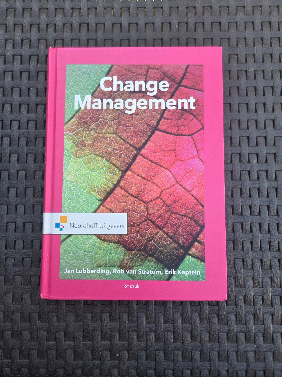 Change Management - Jan Lubberding - 6e druk, Boeken, Jan Lubberding, Rob van Stratum, Erik Kaptein, Nieuw, Gamma, HBO