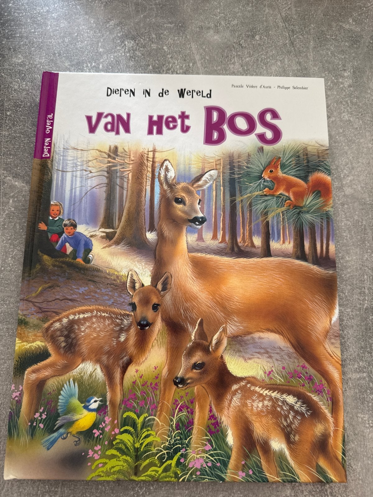 Dieren in de wereld van het bos - Kinderboek, Verzenden, Zo goed als nieuw, Natuur algemeen