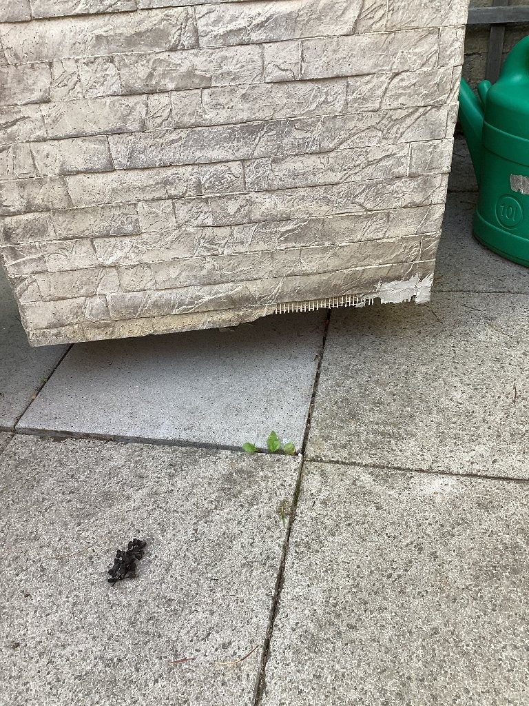 Gratis af te halen, Steen, Gebruikt, Vierkant, Ophalen of Verzenden
