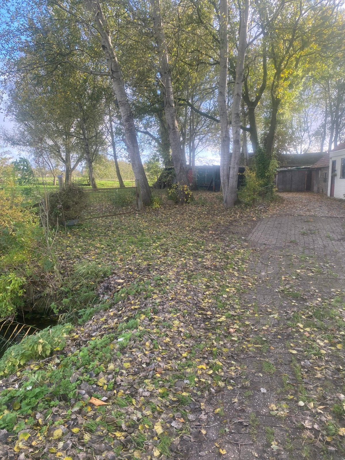 Stalletje met iets grond gezocht, Weidegang, 1 paard of pony
