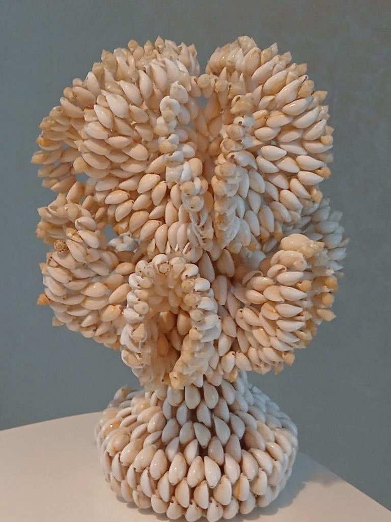 Unieke schelpenboom 25cm .kan zelfs een lampje in, Antiek en Kunst, Ophalen