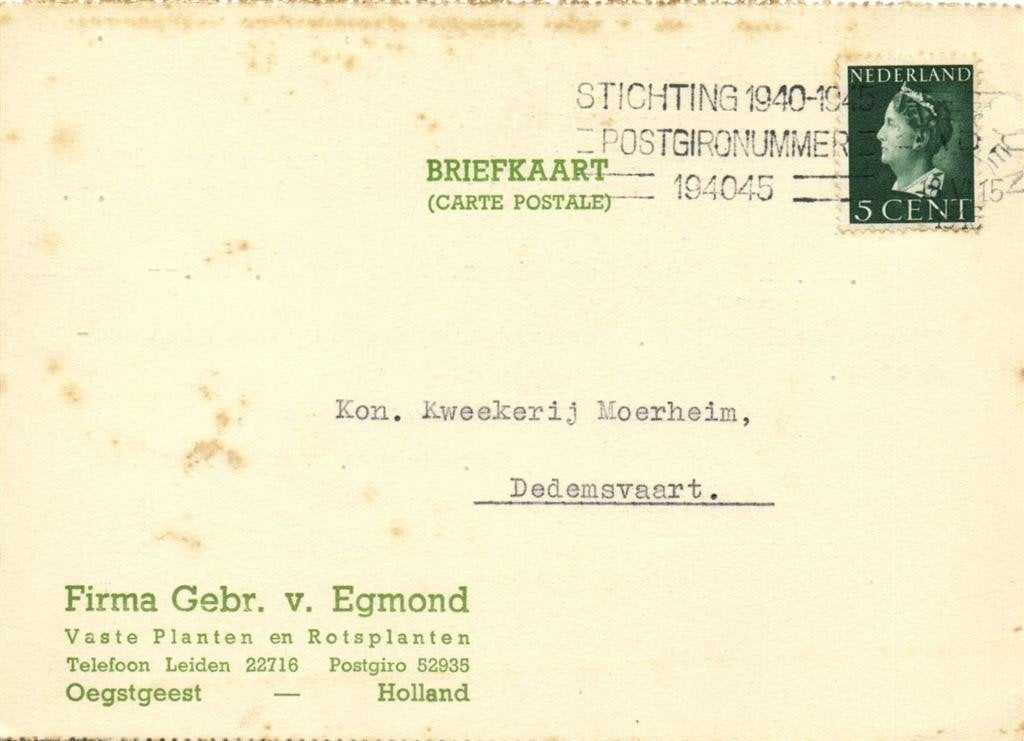 Firma Gebr. v. Egmond, Oegstgeest - 06.1946 - briefkaart, Ophalen of Verzenden, Briefkaart