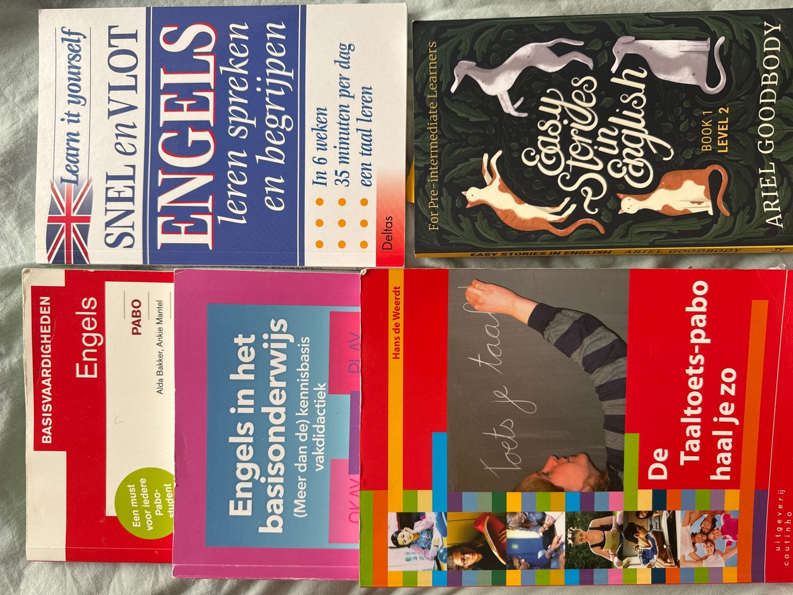 Engelse lesboeken en PABO-boeken, Ophalen of Verzenden, Gelezen, Non-fictie