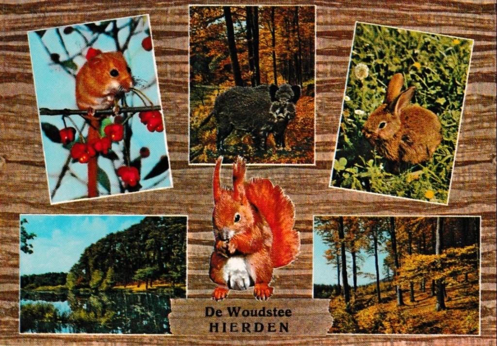 Hierden    885a, Ophalen of Verzenden, Voor 1920