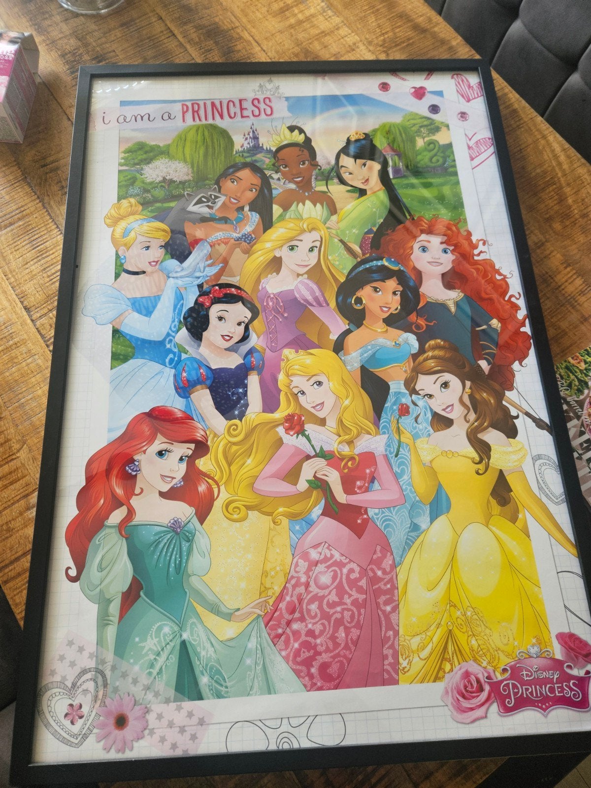 Prinsessen poster 61x92 CM, Ophalen, A1 t/m A3